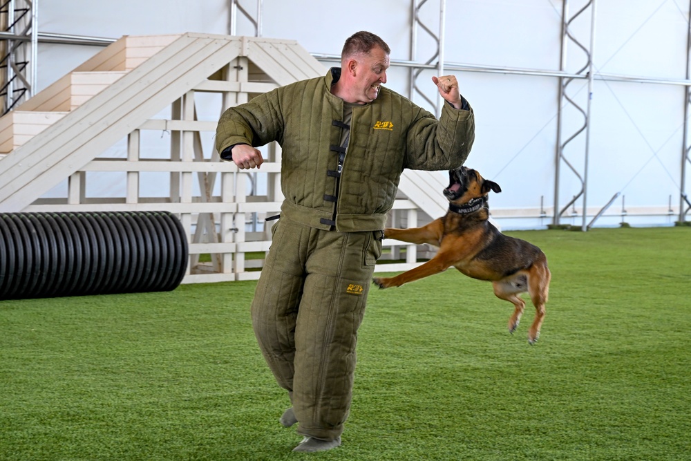 Loyal guardians: Military working dogs enhance CJTF-HOA security capabilities