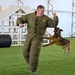 Loyal guardians: Military working dogs enhance CJTF-HOA security capabilities