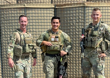 Loyal guardians: Military working dogs enhance CJTF-HOA security capabilities