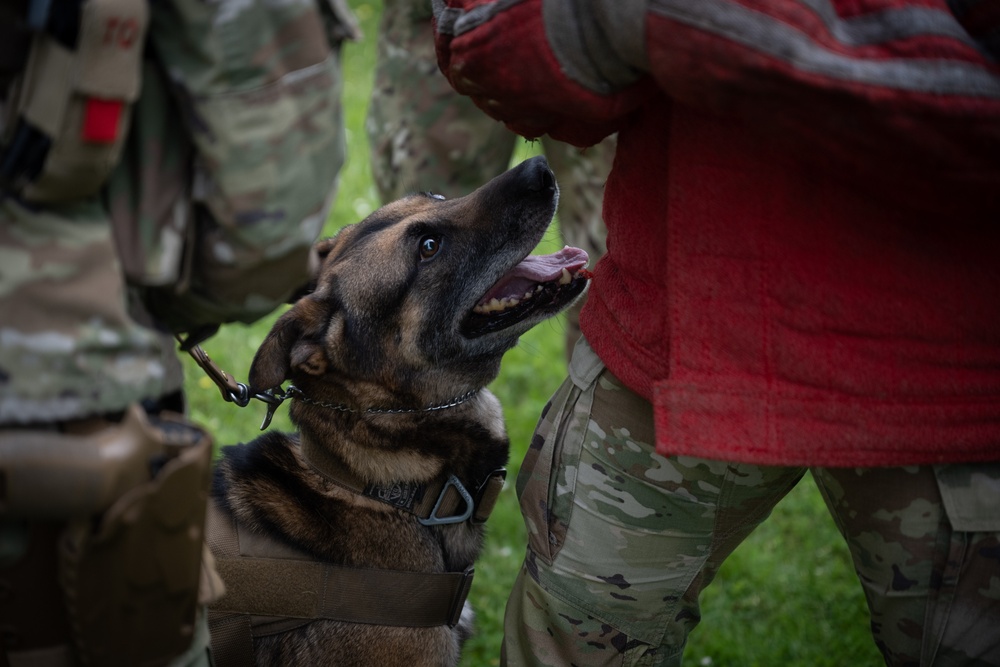 Perfecting lethality: the art of controlled force