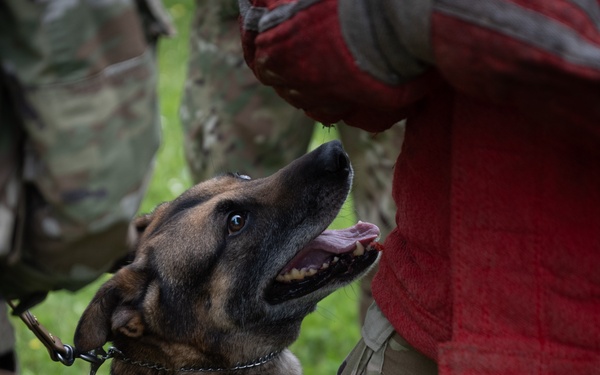 Perfecting lethality: the art of controlled force