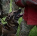 Perfecting lethality: the art of controlled force