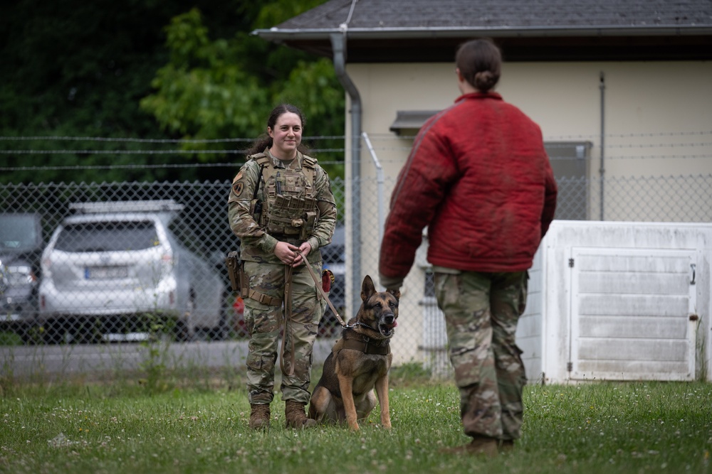 Perfecting lethality: the art of controlled force