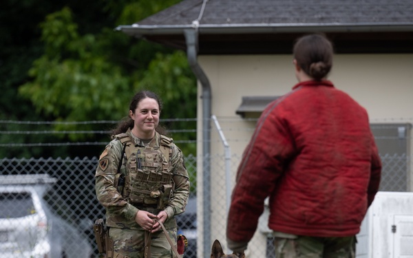 Perfecting lethality: the art of controlled force