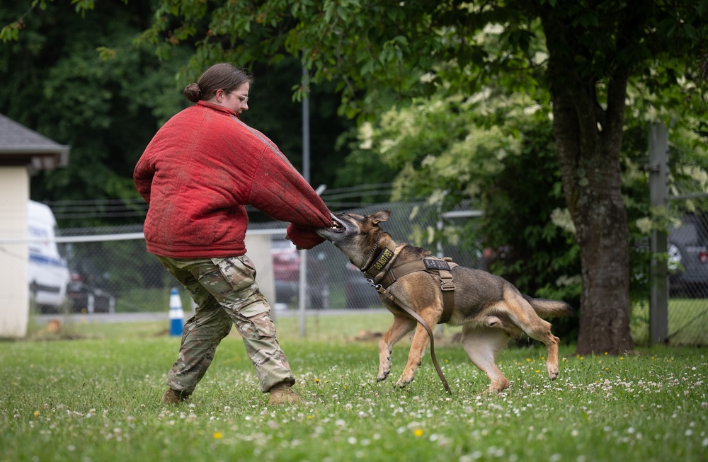 Perfecting lethality: the art of controlled force