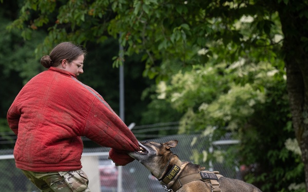 Perfecting lethality: the art of controlled force