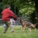 Perfecting lethality: the art of controlled force