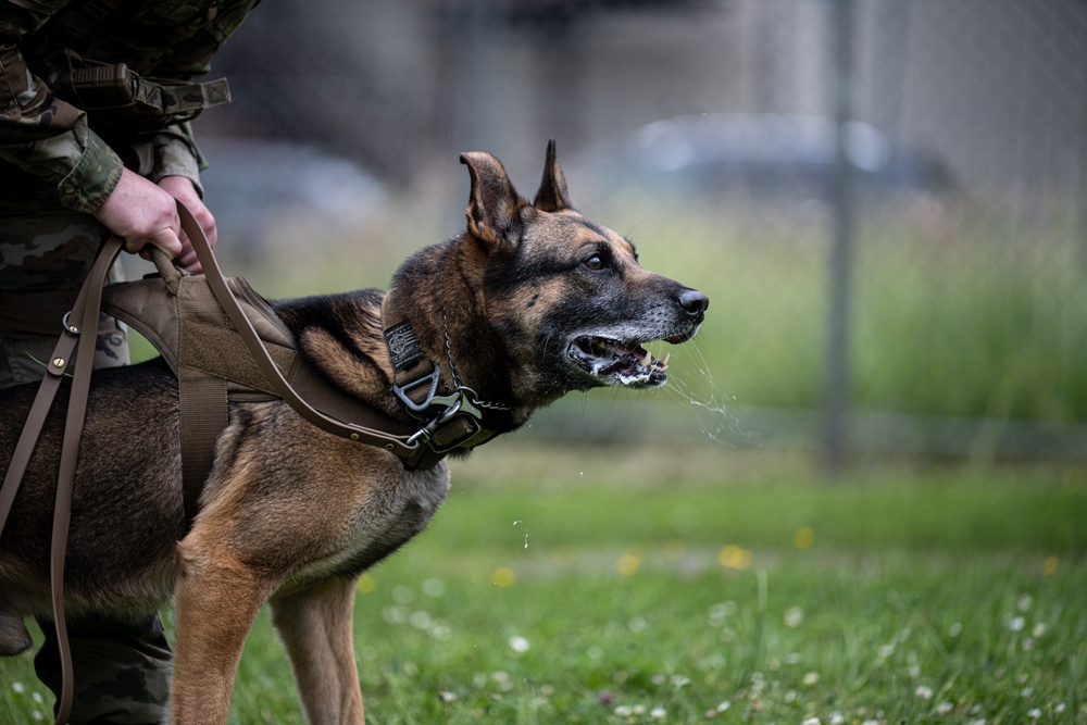 Perfecting lethality: the art of controlled force