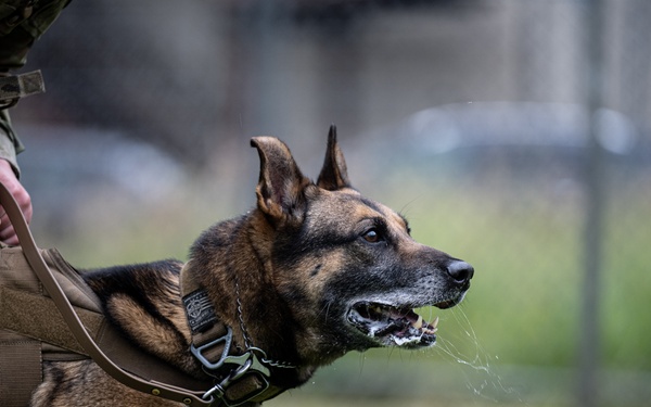 Perfecting lethality: the art of controlled force