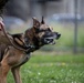 Perfecting lethality: the art of controlled force
