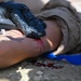 Joint response: Soldiers, Marines conduct MEDEVAC training