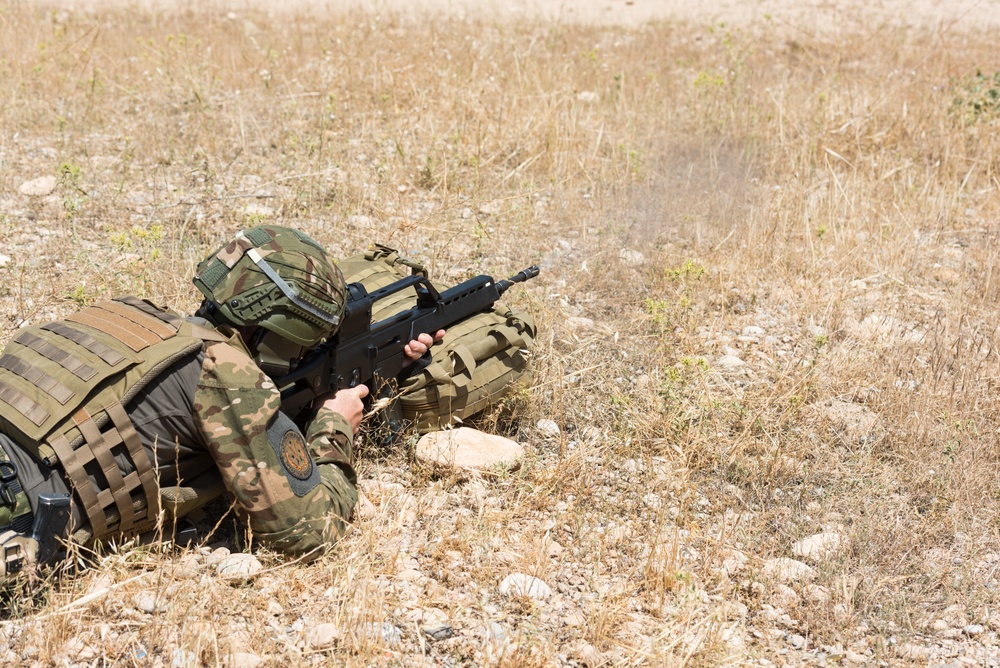 Coalition Forces Conduct Estonian and German-Led Range Operations