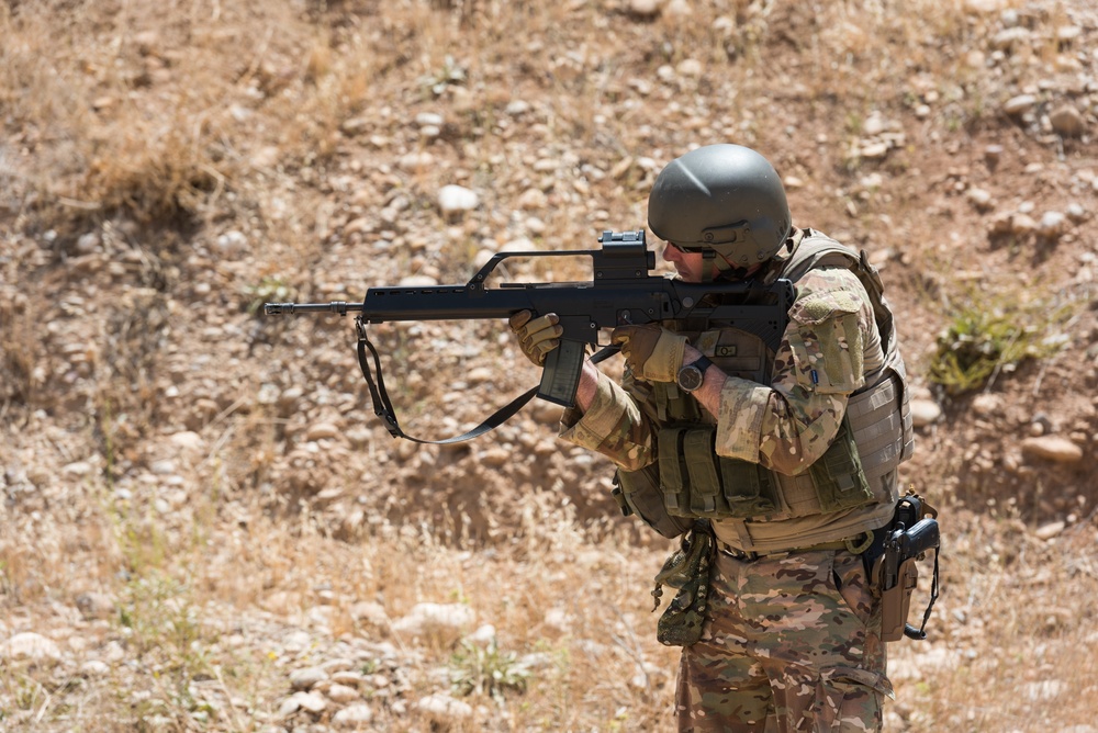 Coalition Forces Conduct Estonian and German-Led Range Operations