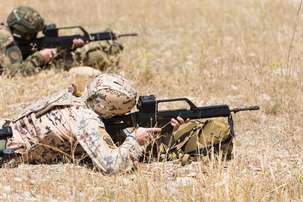 Coalition Forces Conduct Estonian and German-Led Range Operations