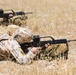 Coalition Forces Conduct Estonian and German-Led Range Operations