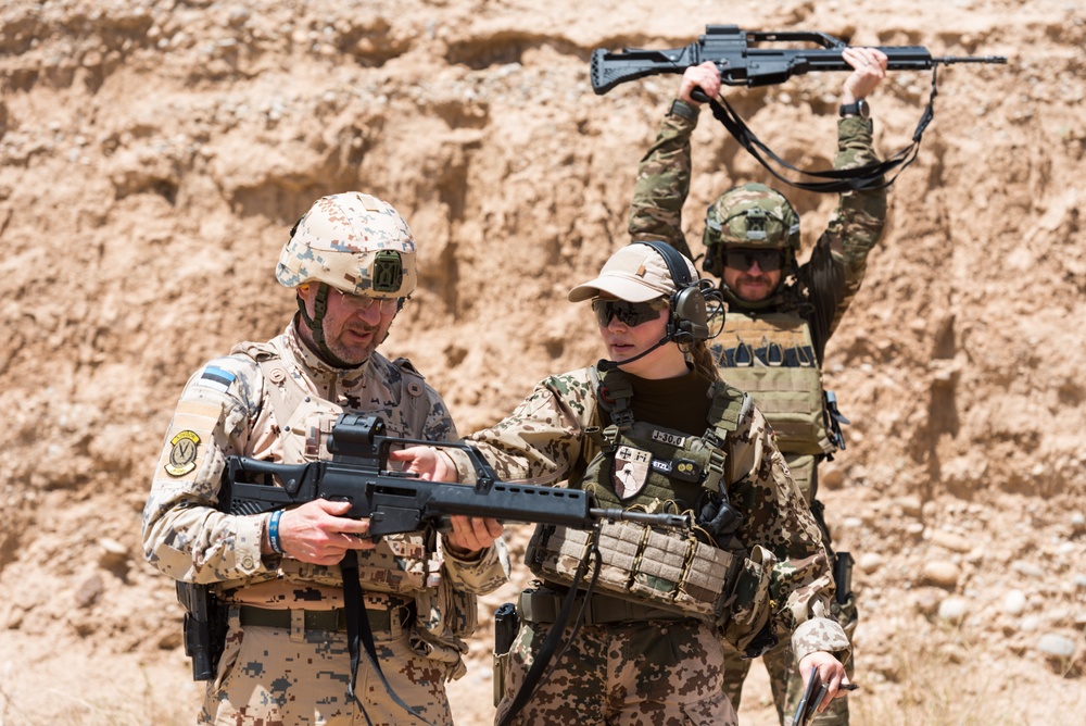 Coalition Forces Conduct Estonian and German-Led Range Operations
