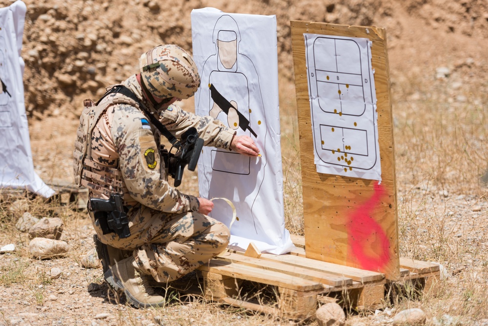 Coalition Forces Conduct Estonian and German-Led Range Operations
