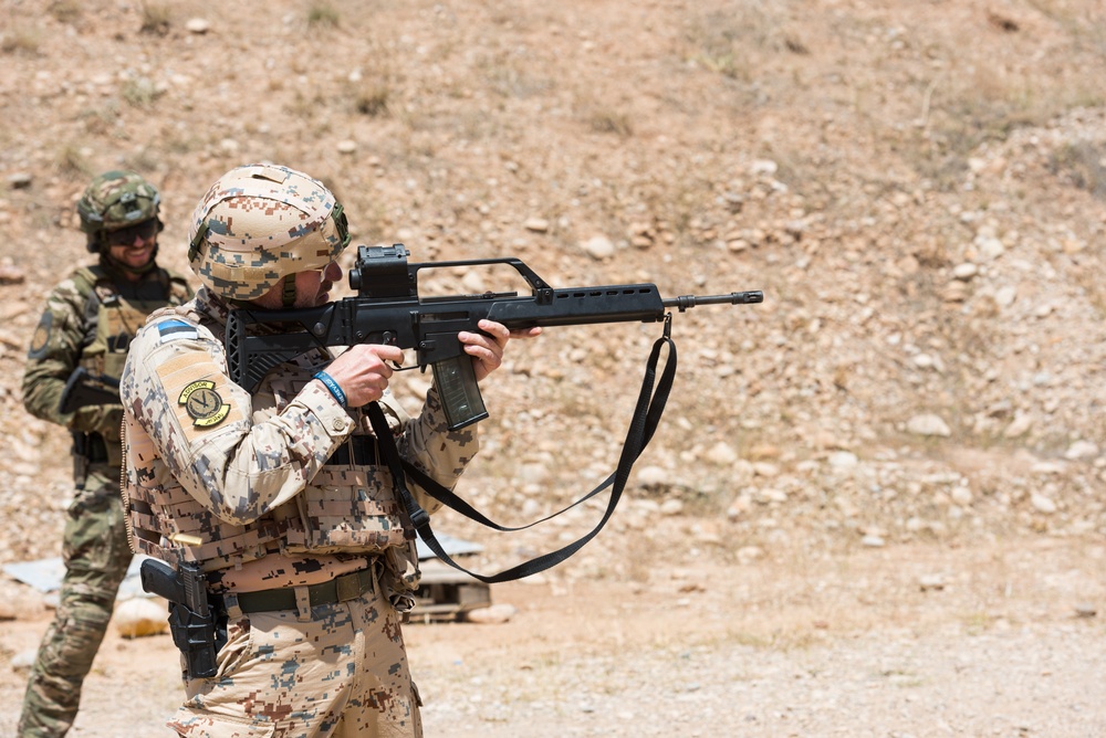 Coalition Forces Conduct Estonian and German-Led Range Operations