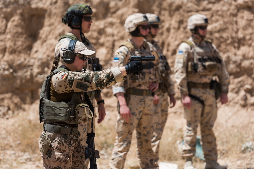 Coalition Forces Conduct Estonian and German-Led Range Operations