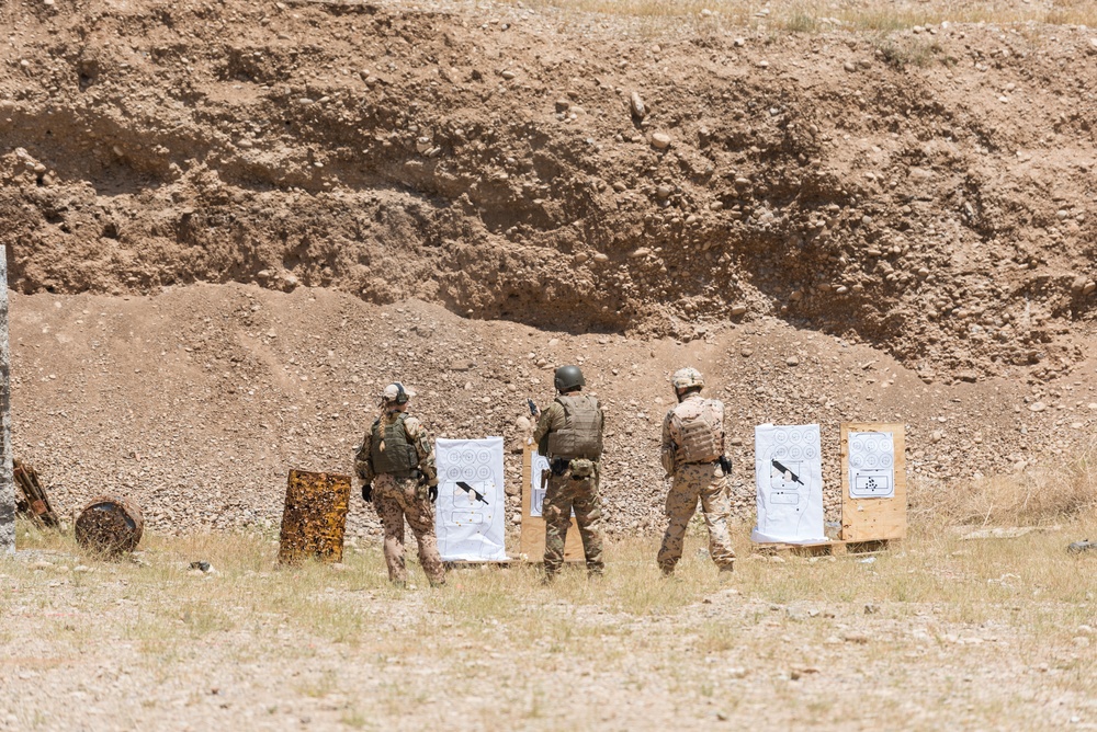 Coalition Forces Conduct Estonian and German-Led Range Operations
