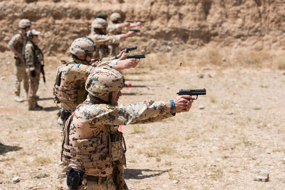 Coalition Forces Conduct Estonian and German-Led Range Operations