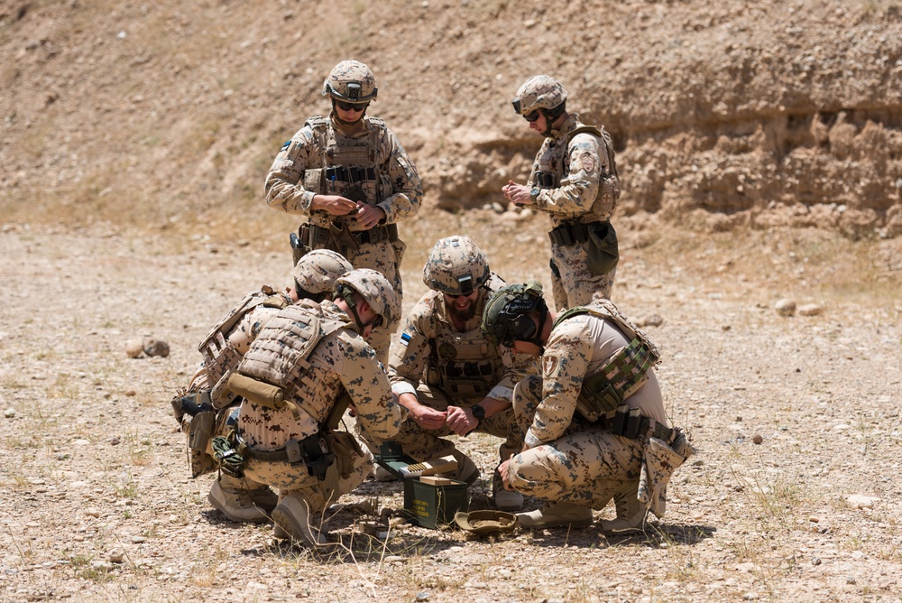 Coalition Forces Conduct Estonian and German-Led Range Operations