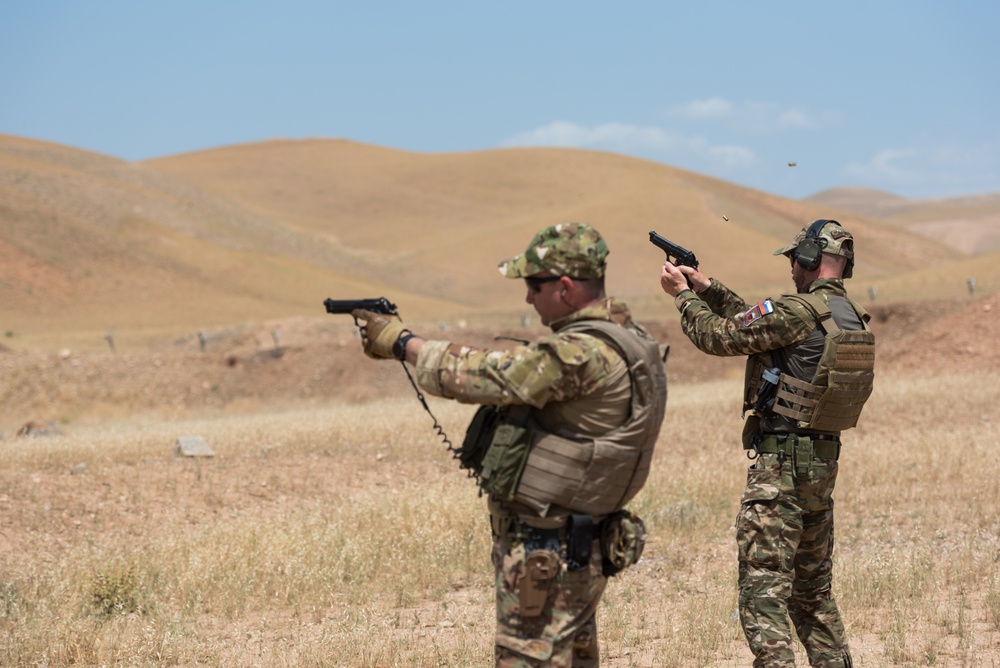 Coalition Forces Conduct Estonian and German-Led Range Operations