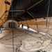 Airmen build EMEDS facility