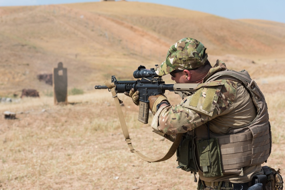 Coalition Forces Conduct Estonian and German-Led Range Operations