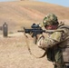 Coalition Forces Conduct Estonian and German-Led Range Operations