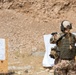 Coalition Forces Conduct Estonian and German-Led Range Operations