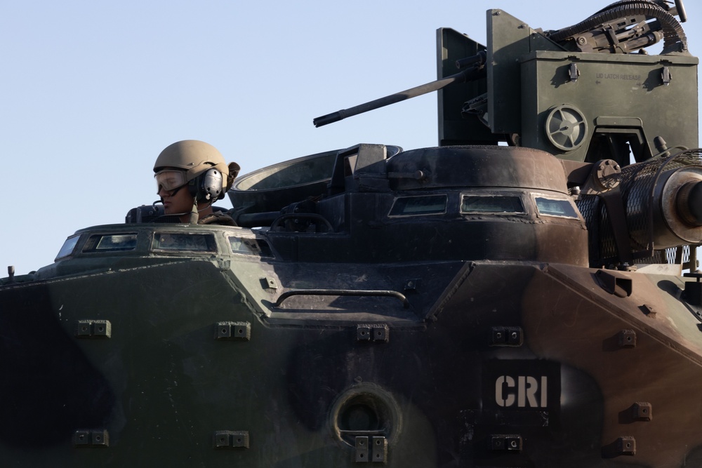 ITX 3-25: Combat Engineers and AAV Crewmembers Employ Explosives on Range 114