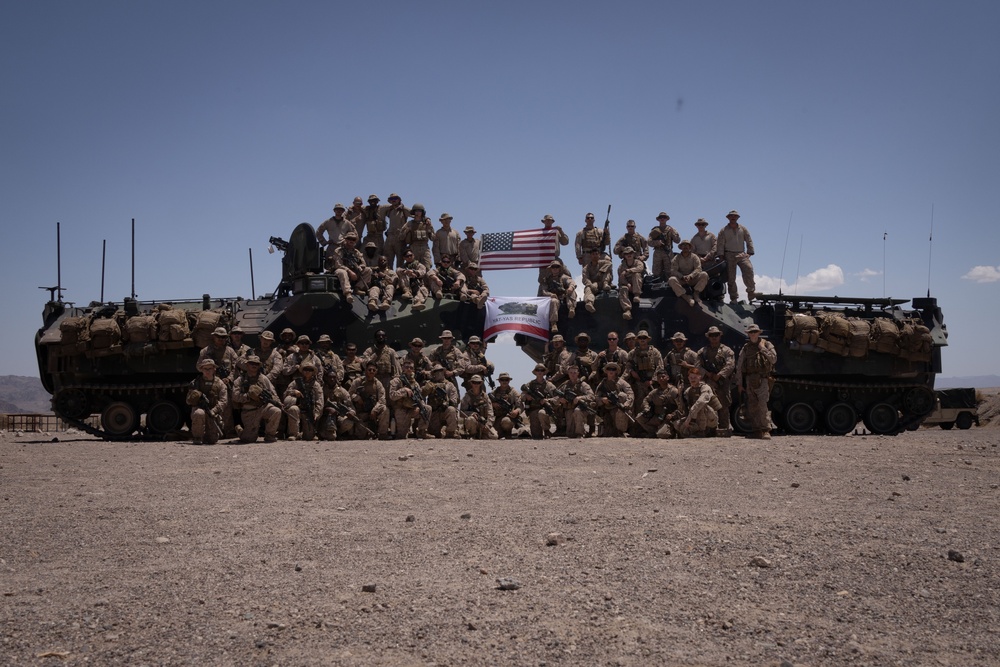 ITX 3-25: Combat Engineers and AAV Crewmembers Employ Explosives on Range 114