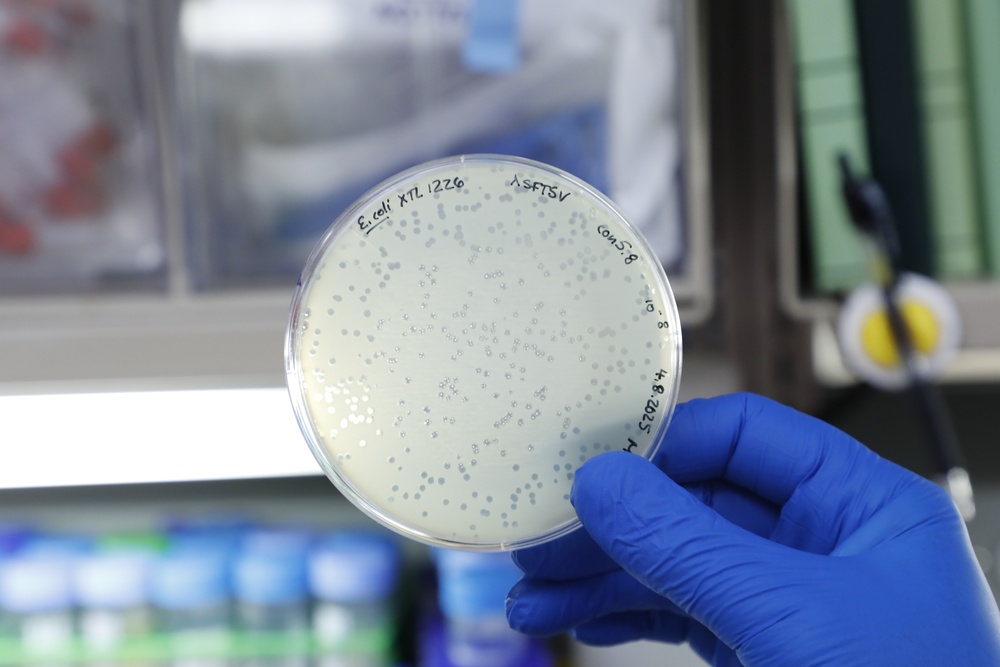 NMR&amp;D Reaches Milestones in Six Year CDRMP Focused Program Award for Bacteriophage Therapy