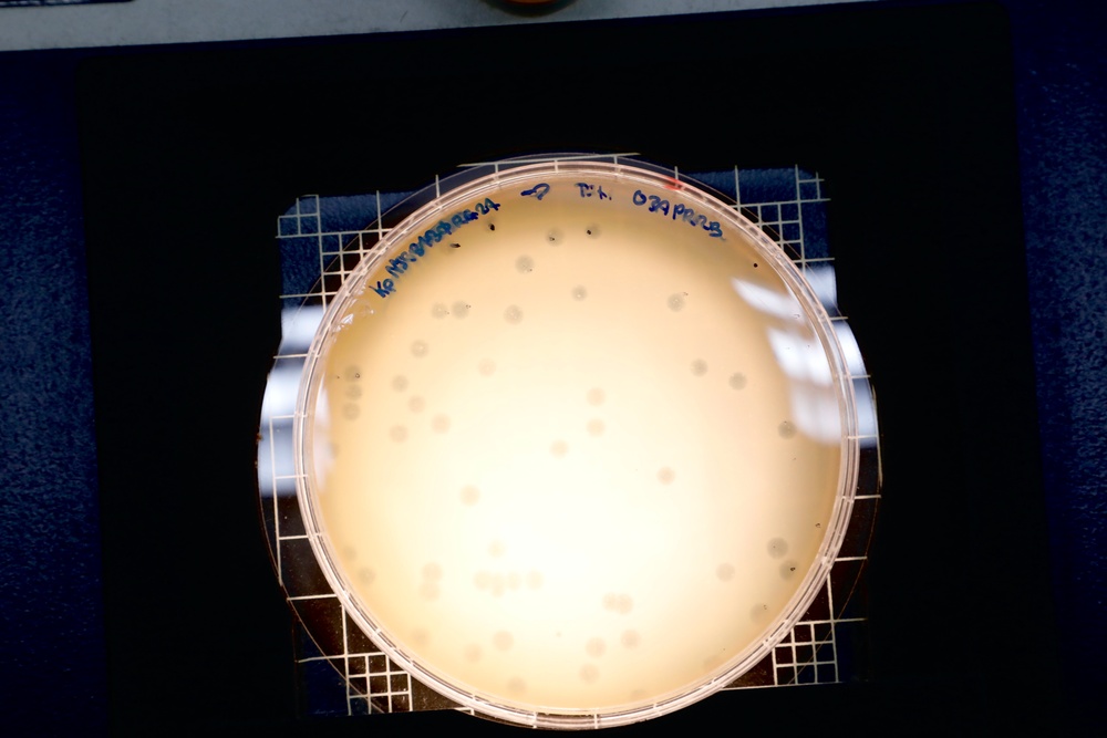NMR&amp;D Reaches Milestones in Six Year CDRMP Focused Program Award for Bacteriophage Therapy