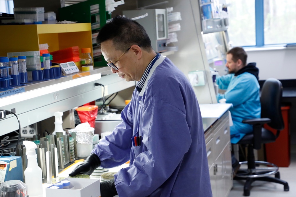 NMR&amp;D Reaches Milestones in Six Year CDRMP Focused Program Award for Bacteriophage Therapy