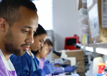 NMR&amp;D Reaches Milestones in Six Year CDMRP Focused Program Award for Bacteriophage Therapy
