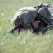 Exercise Iron Bison 25-01