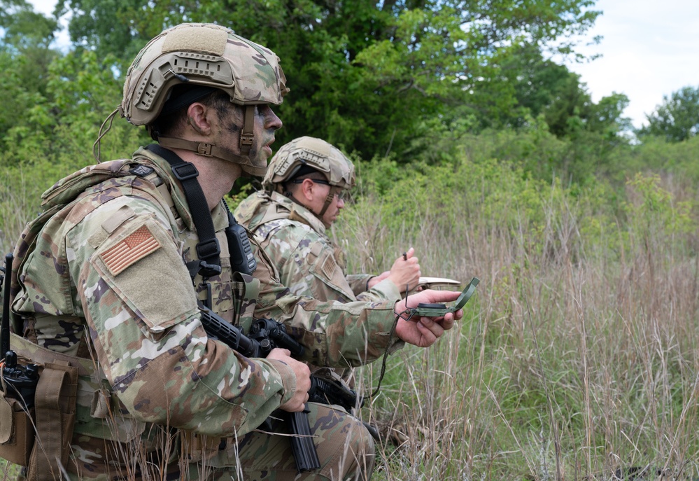 Exercise Iron Bison 25-01