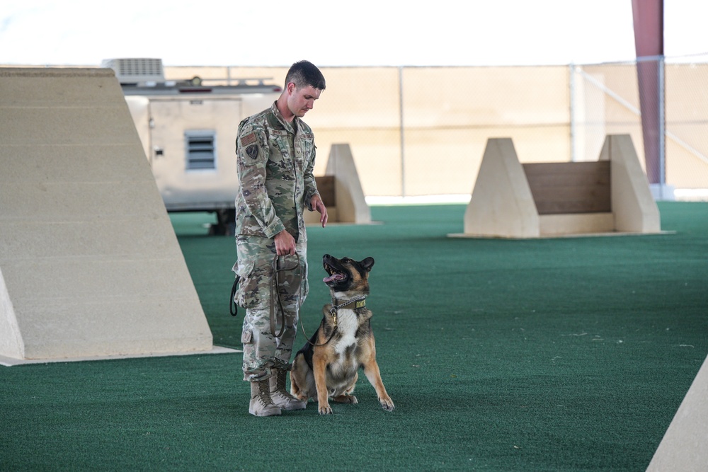 Creech AFB Dog Demo for FTEC