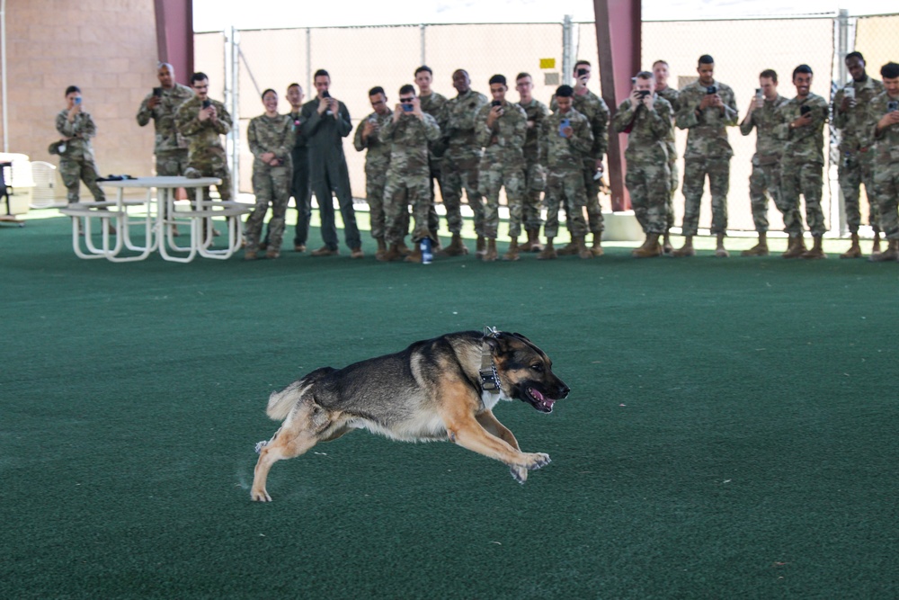 Creech AFB Dog Demo for FTEC