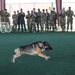 Creech AFB Dog Demo for FTEC
