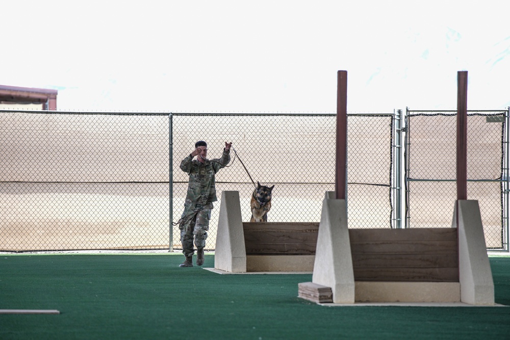 Creech AFB Dog Demo for FTEC