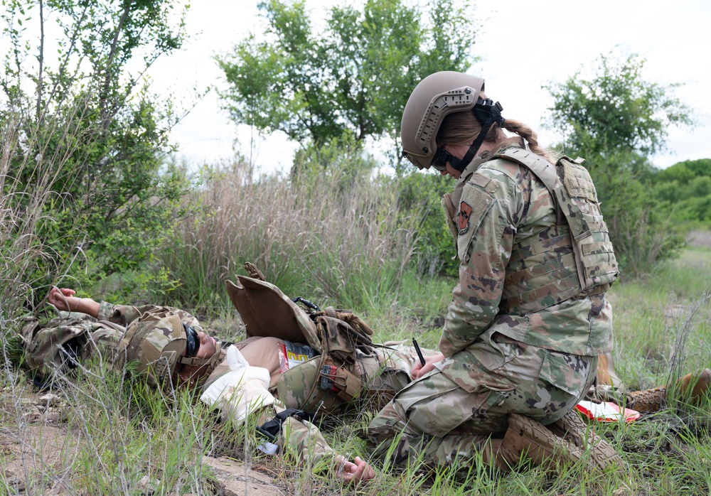 Exercise Iron Bison 25-01