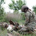 Exercise Iron Bison 25-01
