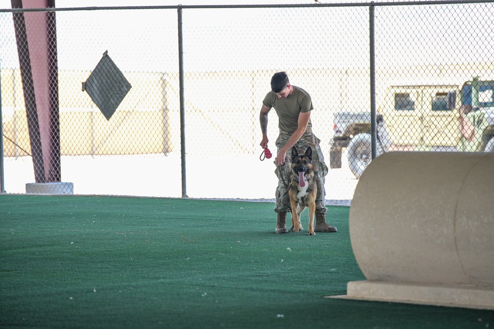 Creech AFB Dog Demo for FTEC