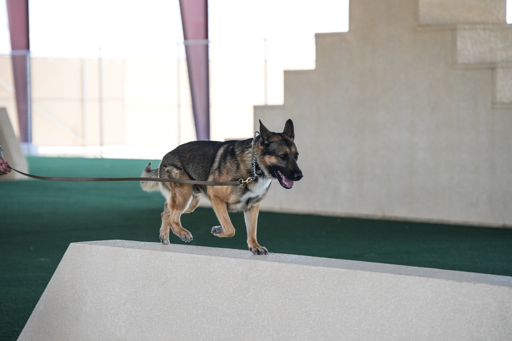 Creech AFB Dog Demo for FTEC