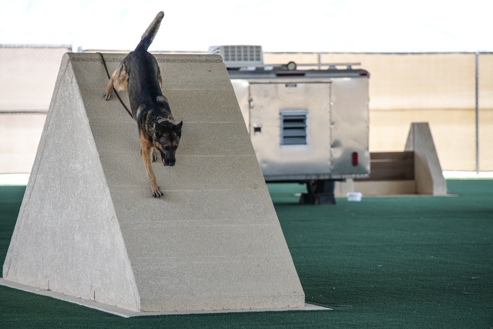 Creech AFB Dog Demo for FTEC