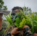 Reconnaissance Soldiers and Guatamalan Armed Forces conduct sniper Training