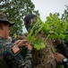 Reconnaissance Soldiers and Guatamalan Armed Forces conduct sniper Training